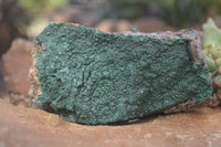 Natural Micro Botryoidal Crystalline Malachite Specimen x 1 From Congo