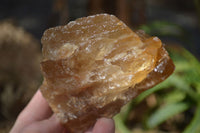 Natural Honey Aragonite Etched & Cobbed Pieces  x 6 From Namibia - Toprock Gemstones and Minerals 