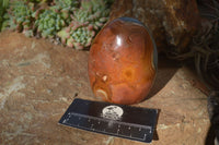 Polished Polychrome Jasper Standing Free Forms  x 3 From Madagascar