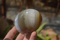 Polished Mixed Agate Standing Free Forms x 6 From West Coast, Madagascar