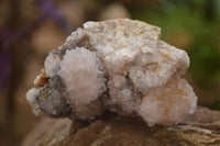 Natural Spirit Amethyst Quartz Clusters x 6 From Boekenhouthoek, South Africa