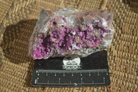 Natural Pink Salrose Cobaltion Dolomite Specimens x 6 From Kakanda, Congo