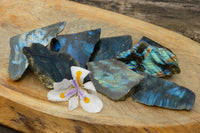 Polished One Side Polished Labradorite Slices  x 8 From Tulear, Madagascar - TopRock