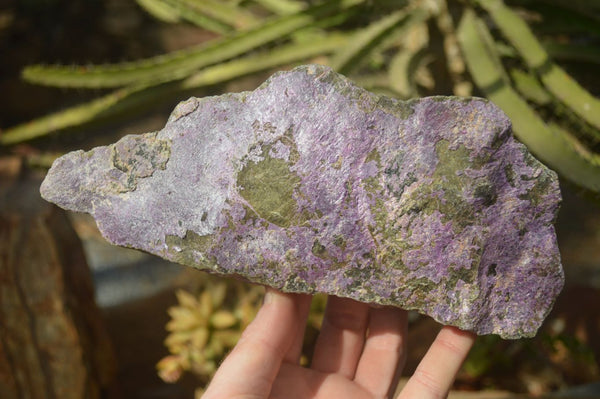 Natural Rough Stichtite & Serpentine Specimens x 3 From Barberton, South Africa