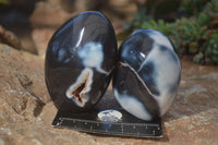 Polished Mixed Agate Standing Free Forms  x 6 From Madagascar