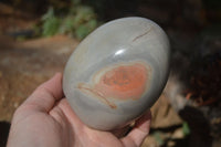 Polished Polychrome Jasper Standing Free Forms  x 3 From Madagascar