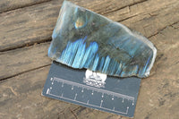 Polished One Side Polished Labradorite Slices  x 8 From Tulear, Madagascar - TopRock