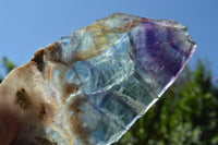 Polished Watermelon Fluorite Slices x 3 From Uis, Namibia - TopRock