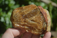 Natural Honey Aragonite Etched & Cobbed Pieces  x 6 From Namibia - Toprock Gemstones and Minerals 