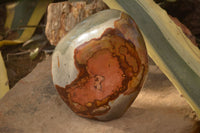 Polished  Large Polychrome / Picasso Jasper Standing Free Form  x 1 From Madagascar