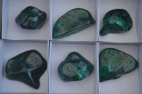 Polished Malachite Free Forms With Stunning Flower & Banding Patterns x 6 From Congo - Toprock Gemstones and Minerals 