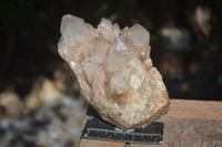 Natural Cascading White Phantom Smokey Quartz Cluster  x 1 From Congo - Toprock Gemstones and Minerals 