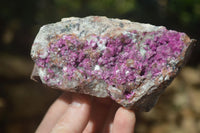 Natural Pink Salrose Cobaltion Dolomite Specimens x 6 From Kakanda, Congo