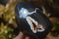 Polished Mixed Agate Standing Free Forms  x 6 From Madagascar