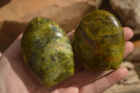 Polished  Green Opal Standing Free Forms  x 6 From Madagascar