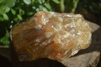 Natural Honey Aragonite Etched & Cobbed Pieces  x 6 From Namibia - Toprock Gemstones and Minerals 