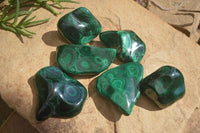 Polished Malachite Free Forms With Stunning Flower & Banding Patterns x 6 From Congo - Toprock Gemstones and Minerals 