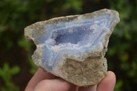 Natural Blue Lace Agate Geode Specimens  x 12 From Malawi - TopRock