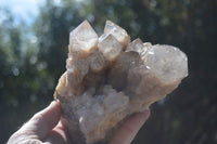 Natural Cascading White Phantom Smokey Quartz Cluster  x 1 From Congo - Toprock Gemstones and Minerals 