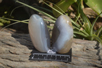 Polished Mixed Agate Standing Free Forms x 6 From West Coast, Madagascar