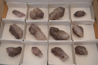 Natural Large Window Amethyst Crystal Specimens  x 12 From Chiredzi, Zimbabwe