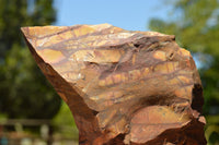 Natural Rough Nguni Jasper Cobbed Specimens  x 5 From Northern Cape, South Africa - TopRock