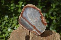 Polished One Side Polished Agate Free Forms  x 2 From Southern Africa