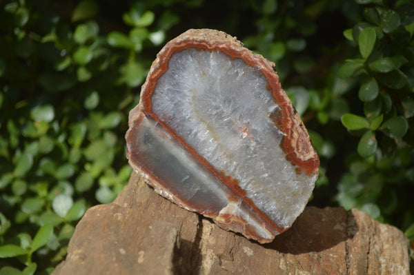 Polished One Side Polished Agate Free Forms  x 2 From Southern Africa