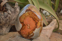 Polished  Large Polychrome / Picasso Jasper Standing Free Form  x 1 From Madagascar