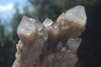 Natural Cascading White Phantom Smokey Quartz Cluster  x 1 From Congo - Toprock Gemstones and Minerals 