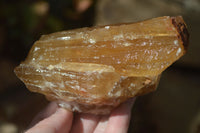 Natural Honey Aragonite Etched & Cobbed Pieces  x 6 From Namibia - Toprock Gemstones and Minerals 