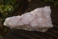 Natural Spirit Amethyst Quartz Clusters x 6 From Boekenhouthoek, South Africa