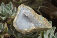 Natural Blue Lace Agate Geode Specimens  x 12 From Malawi - TopRock