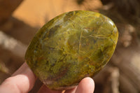 Polished  Green Opal Standing Free Forms  x 6 From Madagascar