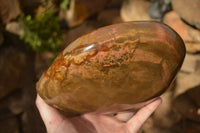 Polished  Large Polychrome / Picasso Jasper Standing Free Form  x 1 From Madagascar