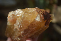 Natural Honey Aragonite Etched & Cobbed Pieces  x 6 From Namibia - Toprock Gemstones and Minerals 