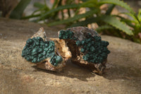 Natural Rare Ball Malachite On Drusy Quartz & Dolomite Specimens x 2 From Congo