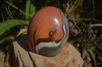 Polished Polychrome Jasper Standing Free Form  x 1 From Mahajanga, Madagascar