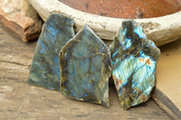 Polished One Side Polished Labradorite Slices  x 8 From Tulear, Madagascar - TopRock