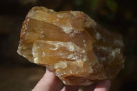 Natural Honey Aragonite Etched & Cobbed Pieces  x 6 From Namibia - Toprock Gemstones and Minerals 