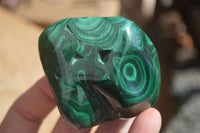 Polished Malachite Free Forms With Stunning Flower & Banding Patterns x 6 From Congo - Toprock Gemstones and Minerals 