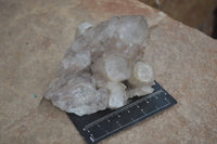 Natural Cascading White Phantom Smokey Quartz Clusters  x 3 From Luena, Congo - Toprock Gemstones and Minerals 