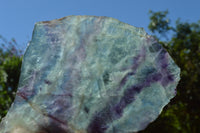 Polished Watermelon Fluorite Slices x 3 From Uis, Namibia - TopRock