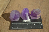 Polished Small Window Amethyst Points x 12 From Ankazobe, Madagascar