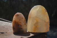 Polished Mixed Agate Standing Free Forms  x 6 From Madagascar