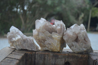 Natural Cascading White Phantom Smokey Quartz Clusters  x 3 From Luena, Congo - Toprock Gemstones and Minerals 