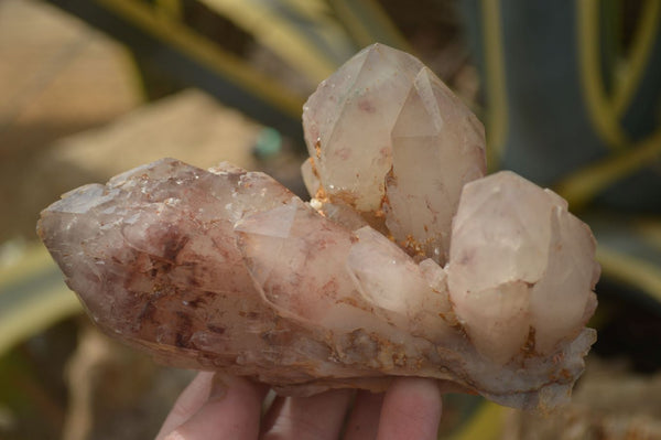 Natural Red Hematoid Quartz Clusters x 3 From Karoi, Zimbabwe