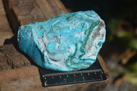 Natural Blue Chrysocolla On Silky Malachite Matrix  x 1 From Kulukuluku, Congo - Toprock Gemstones and Minerals 