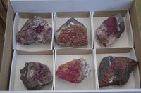 Natural Pink Salrose Cobaltion Dolomite Specimens  x 6 From Kakanda, Congo - Toprock Gemstones and Minerals 