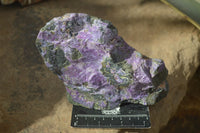 Natural Rough Stichtite Cobbed Specimens x 3 From Barberton, South Africa